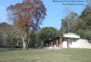Mithawali Forest Rest House