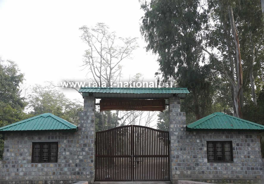 Chilla Entry New Gate Rajaji Tiger Reserve