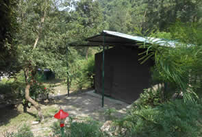 Eco Wild Camp rajaji Rajaji Tiger Reserve