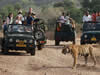 Jeep safari at Rajaji Tiger Reserve